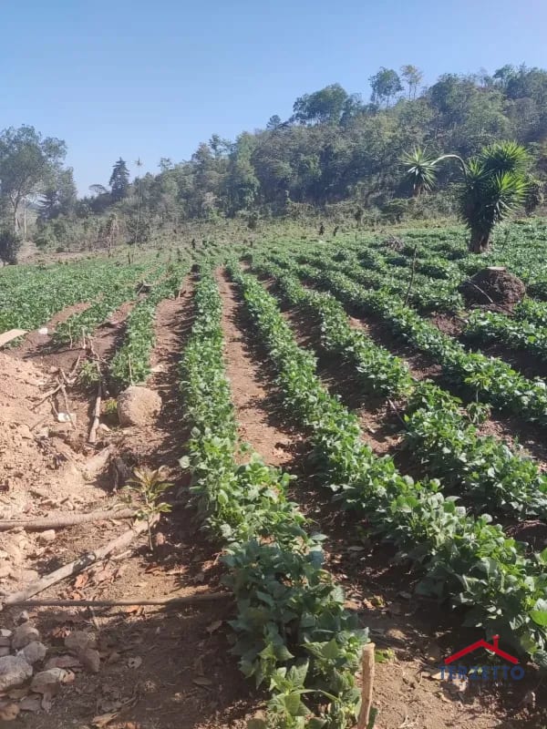 Finca en km 53.5 de la ruta de Chimaltenango — Terreno en Venta en San Martín Jilotepeque, Chimaltenango — foto 11 de 17
