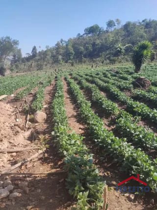 Finca en km 53.5 de la ruta de Chimaltenango — Terreno en Venta en San Martín Jilotepeque, Chimaltenango — miniatura 11 de 17