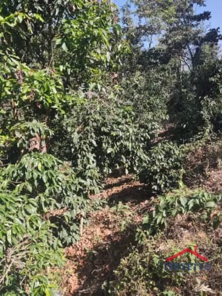 Finca en km 53.5 de la ruta de Chimaltenango — Terreno en Venta en San Martín Jilotepeque, Chimaltenango — miniatura 10 de 17