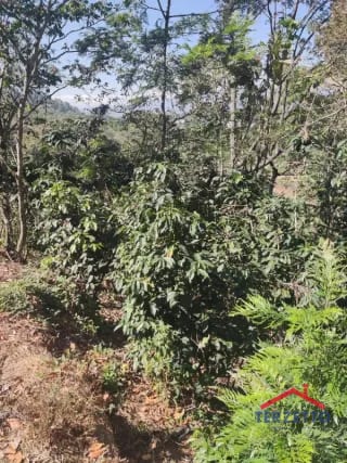 Finca en km 53.5 de la ruta de Chimaltenango — Terreno en Venta en San Martín Jilotepeque, Chimaltenango — miniatura 9 de 17