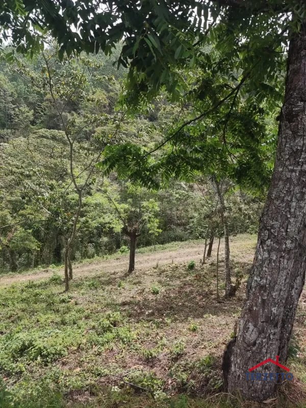 Finca en km 53.5 de la ruta de Chimaltenango — Terreno en Venta en San Martín Jilotepeque, Chimaltenango — foto 8 de 17