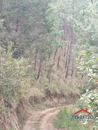 Finca en km 53.5 de la ruta de Chimaltenango — Terreno en Venta en San Martín Jilotepeque, Chimaltenango — miniatura 7 de 17