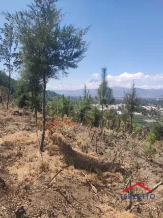 Finca en km 53.5 de la ruta de Chimaltenango — Terreno en Venta en San Martín Jilotepeque, Chimaltenango — miniatura 6 de 17