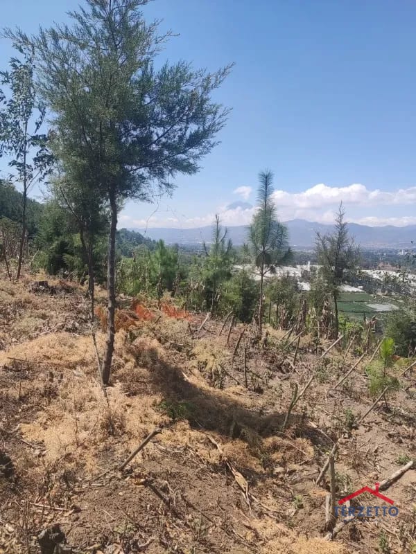 Finca en km 53.5 de la ruta de Chimaltenango — Terreno en Venta en San Martín Jilotepeque, Chimaltenango — foto 6 de 17