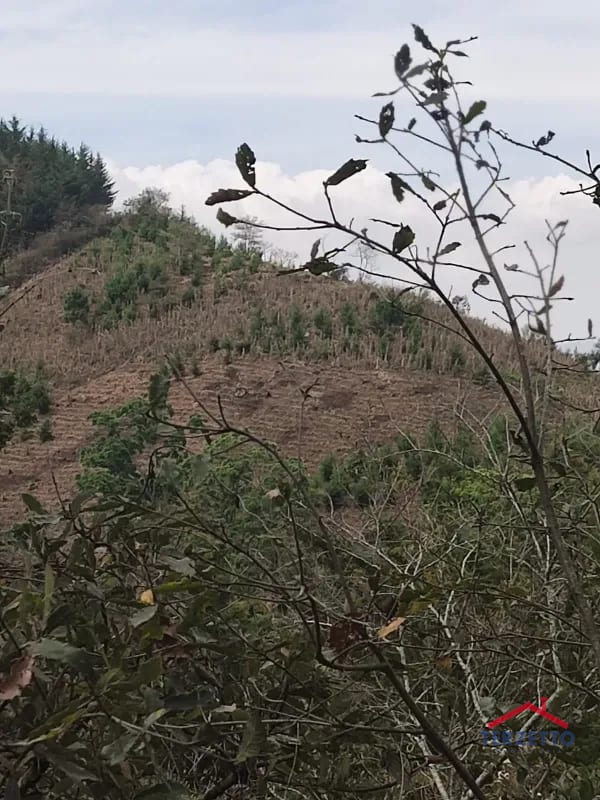 Finca en km 53.5 de la ruta de Chimaltenango — Terreno en Venta en San Martín Jilotepeque, Chimaltenango — foto 2 de 17