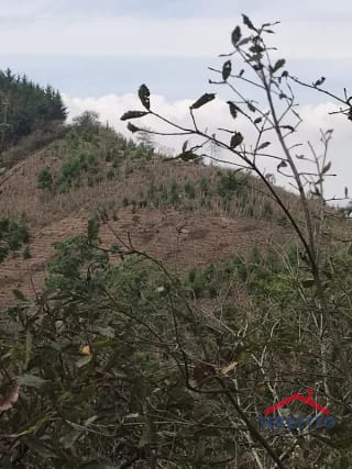 Finca en km 53.5 de la ruta de Chimaltenango — Terreno en Venta en San Martín Jilotepeque, Chimaltenango — miniatura 2 de 17