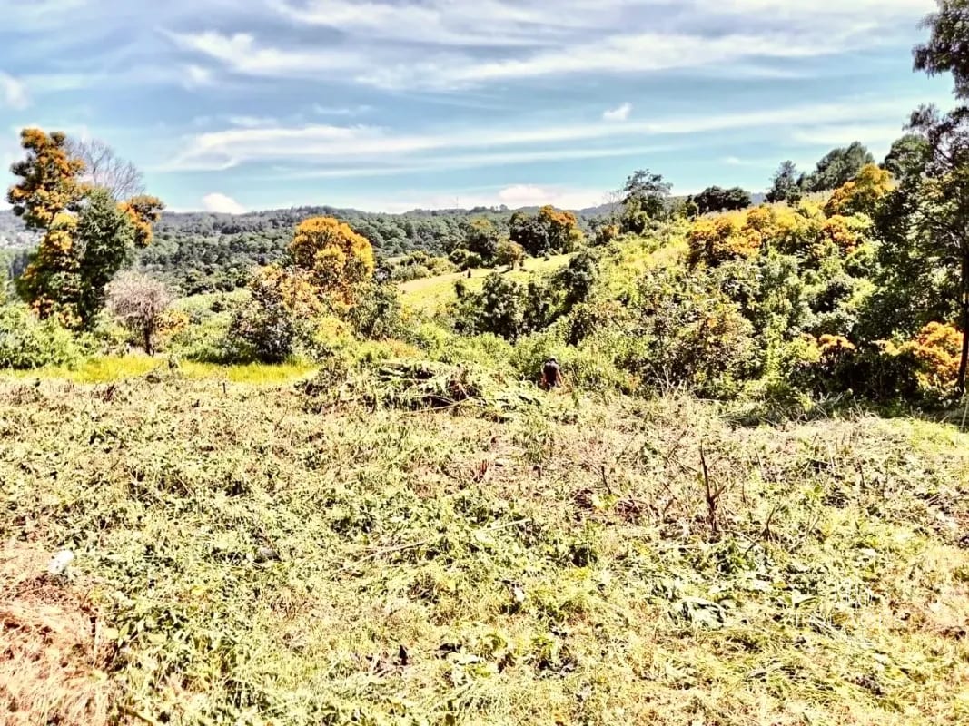 Santiago Sacatepéquez • Terreno en Venta • Granjas Villa Alicia — Terreno en Venta en Santiago Sacatepéquez, Sacatepéquez — foto 3 de 5