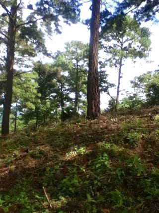 Terreno en venta zona 16, Vista Hermosa IV — Terreno en Venta en Vista Hermosa IV, Zona 16, Guatemala, Ciudad — miniatura 6 de 6