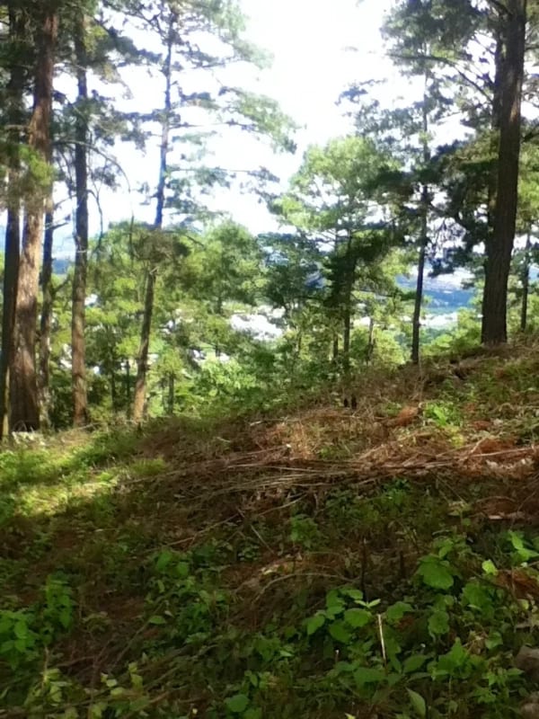 Terreno en venta zona 16, Vista Hermosa IV — Terreno en Venta en Vista Hermosa IV, Zona 16, Guatemala, Ciudad — foto 5 de 6