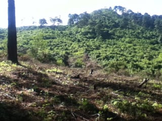 Terreno en venta zona 16, Vista Hermosa IV — Terreno en Venta en Vista Hermosa IV, Zona 16, Guatemala, Ciudad — miniatura 4 de 6