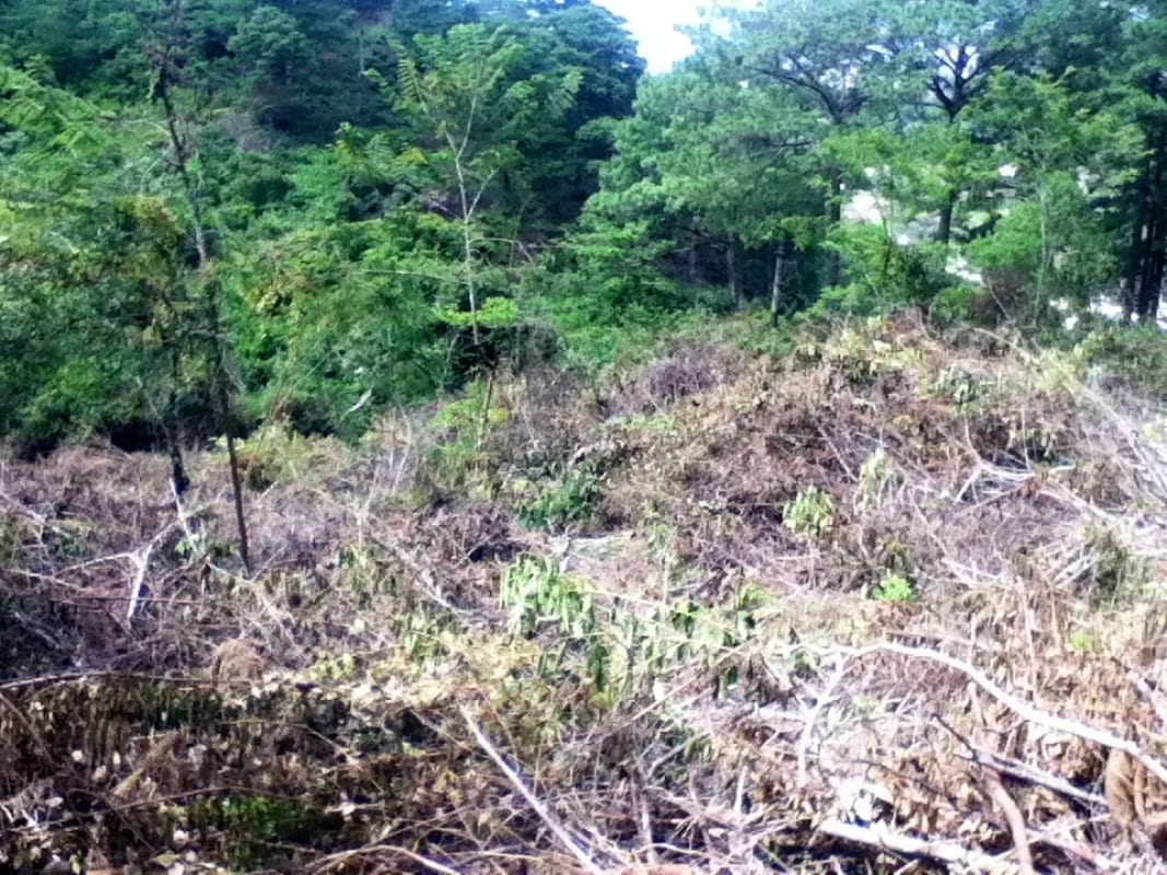 Terreno en venta zona 16, Vista Hermosa IV — Terreno en Venta en Vista Hermosa IV, Zona 16, Guatemala, Ciudad — foto 3 de 6