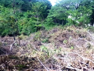 Terreno en venta zona 16, Vista Hermosa IV — Terreno en Venta en Vista Hermosa IV, Zona 16, Guatemala, Ciudad — miniatura 3 de 6