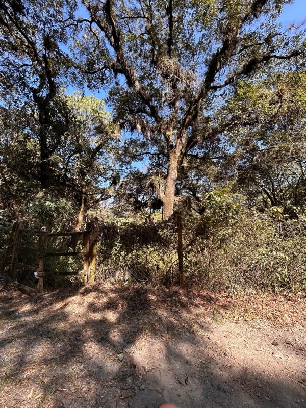 Terreno en Venta, El Encinal — Terreno en Venta en Zona 10 Mixco, Guatemala, Ciudad — foto 4 de 4