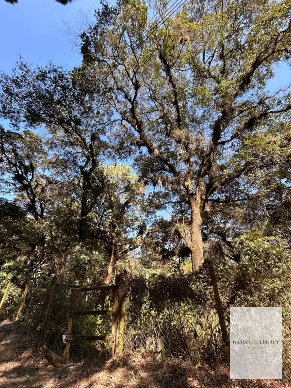 Terreno en Venta, El Encinal — Terreno en Venta en Zona 10 Mixco, Guatemala, Ciudad — foto 2 de 4