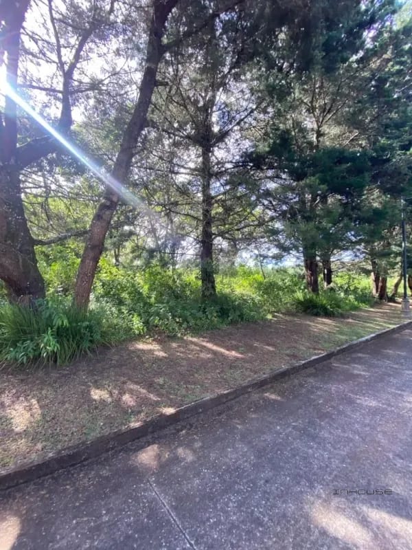 Terreno en venta en Casa y Campo km 23.5 — Terreno en Venta en Carretera a El Salvador, Guatemala, Ciudad — foto 3 de 4