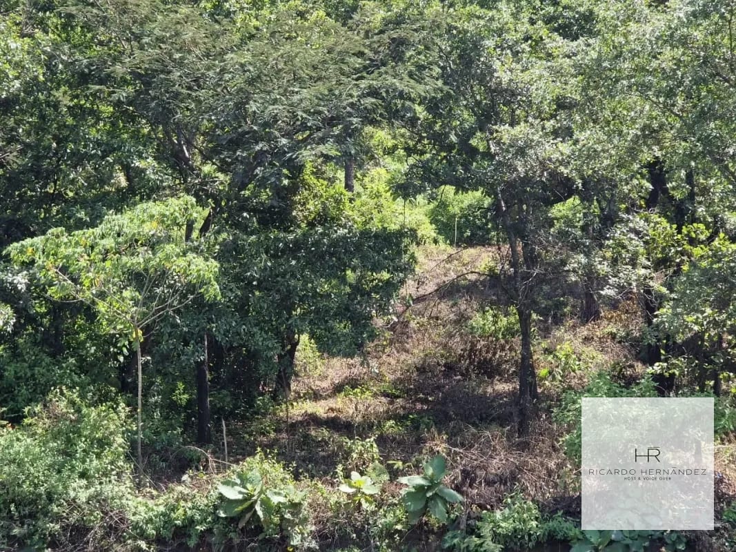 Venta de terreno en Sumpango — Terreno en Venta en San Pedro Sacatepéquez, Sacatepéquez — foto 2 de 6
