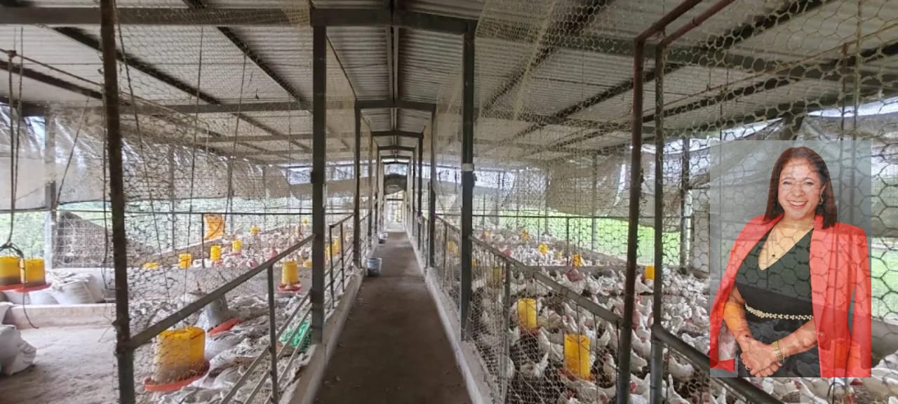 3 manzanas de terreno Escuintla en venta — Finca en Venta en Escuintla, Escuintla — foto 7 de 8