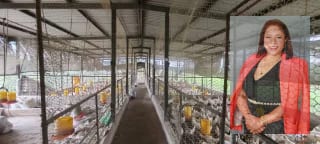 3 manzanas de terreno Escuintla en venta — Finca en Venta en Escuintla, Escuintla — miniatura 7 de 8