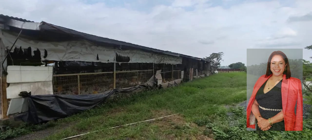 3 manzanas de terreno Escuintla en venta — Finca en Venta en Escuintla, Escuintla — foto 6 de 8