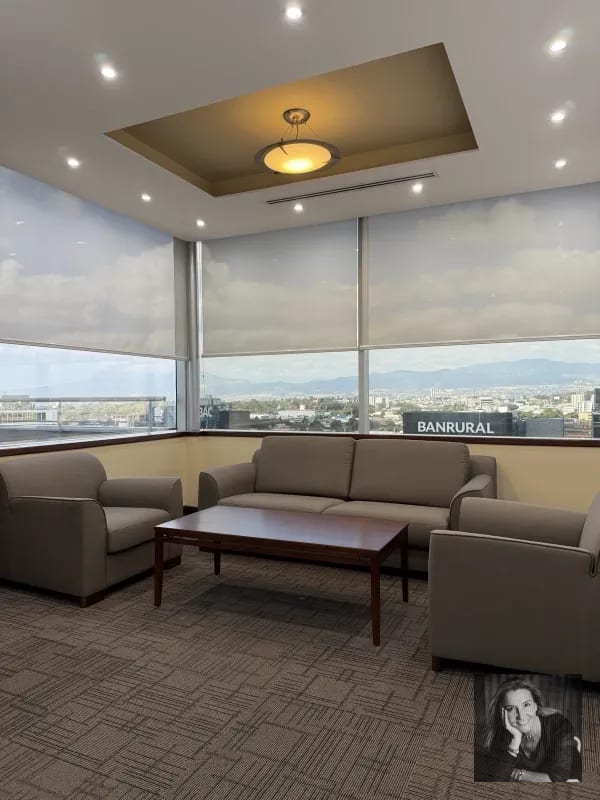 Oficina en Renta en Zona 10 Guatemala – 285 m² Corporativos — Oficina en Alquiler en Zona 10, Guatemala, Ciudad — foto 12 de 15
