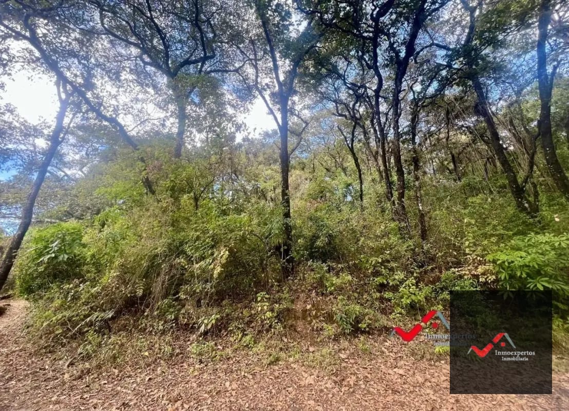 Terreno en Venta  Labor de Castilla II, Zona 9 de Mixco — Terreno en Venta en Zona 9, Guatemala, Ciudad — foto 1 de 5
