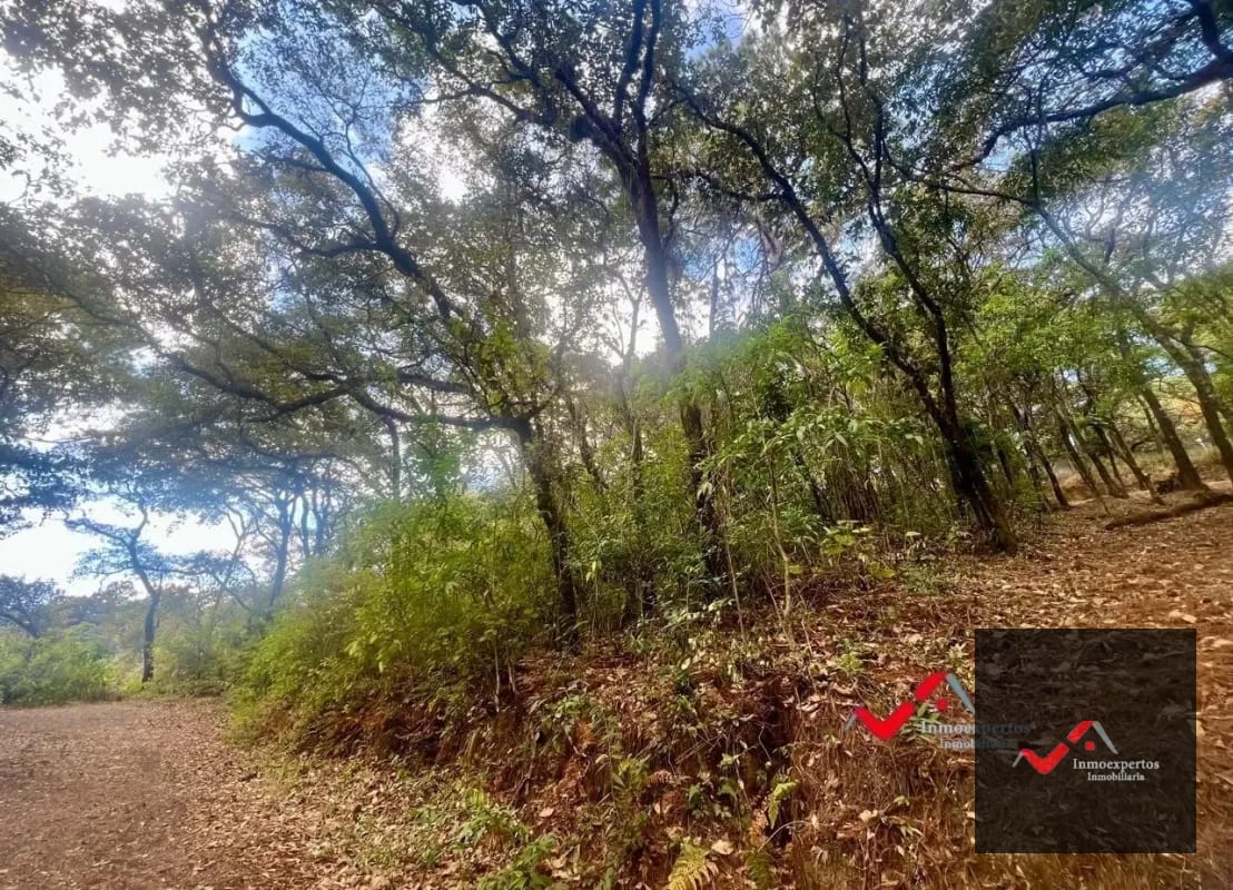 Terreno en Venta Labor de Castilla II, Zona 9 de Mixco — Terreno en Venta en Zona 9, Guatemala, Ciudad — foto 5 de 5