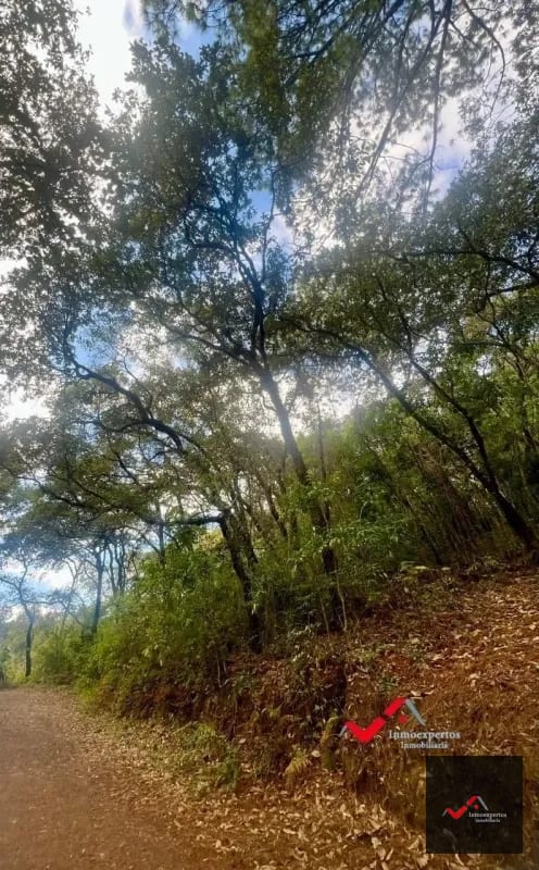 Terreno en Venta  Labor de Castilla II, Zona 9 de Mixco — Terreno en Venta en Zona 9, Guatemala, Ciudad — foto 4 de 5