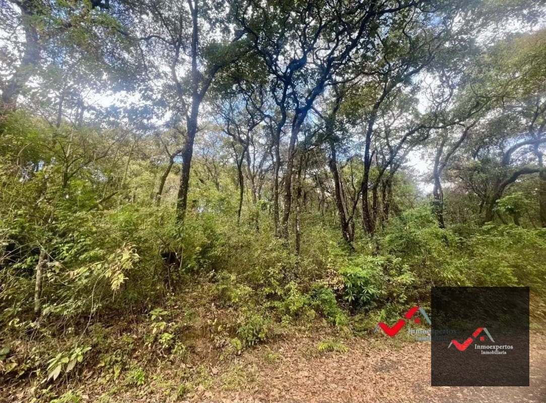 Terreno en Venta  Labor de Castilla II, Zona 9 de Mixco — Terreno en Venta en Zona 9, Guatemala, Ciudad — foto 3 de 5