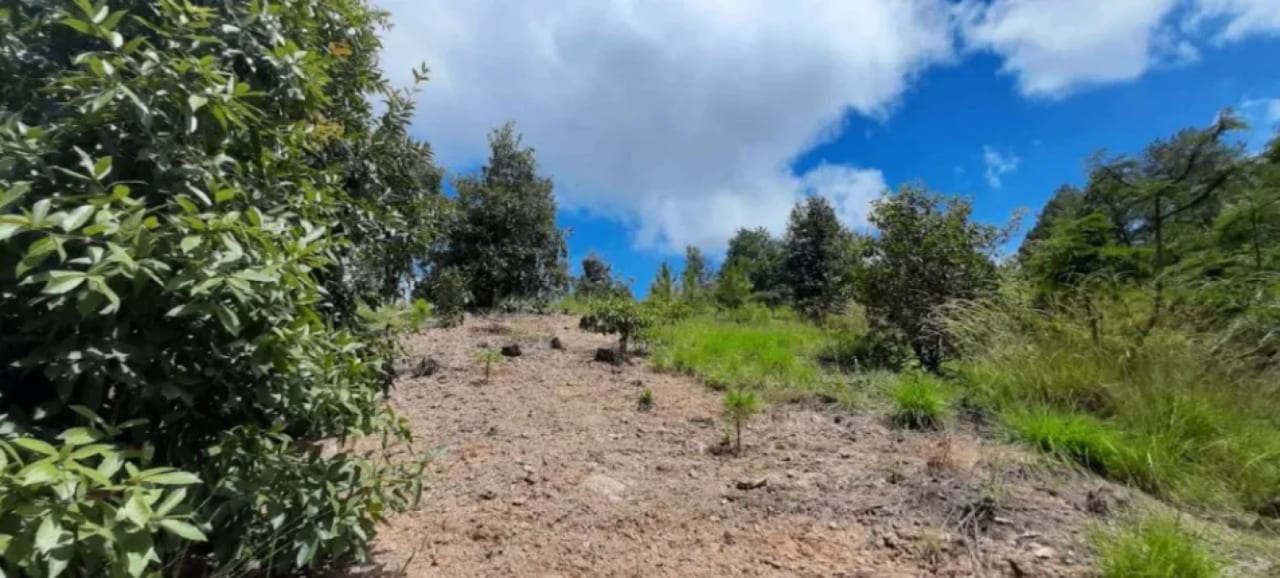 Finca de 30 Manzanas en San Pedro Ayampuc – Ideal para Inversión o Ganadería — Finca en Venta en San Pedro Ayampuc, Guatemala, Ciudad — foto 3 de 7