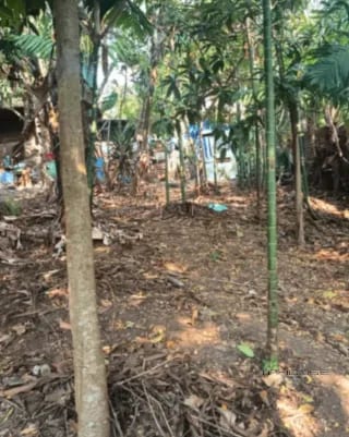 TERRENO EN VENTA EN EL PORVENIR, BOCA DE MONTE — Terreno en Venta en Villa Canales, Carretera a El Salvador, Guatemala, Ciudad — miniatura 1 de 7