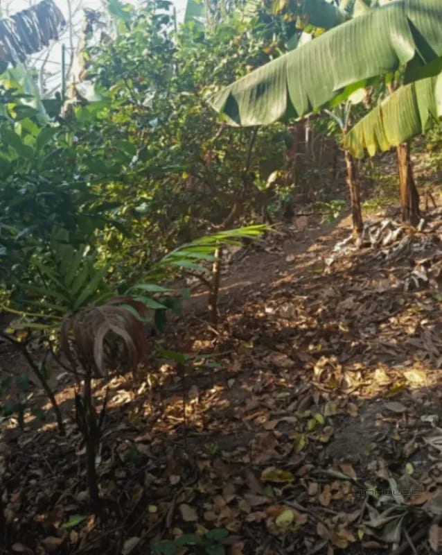TERRENO EN VENTA EN EL PORVENIR, BOCA DE MONTE — Terreno en Venta en Villa Canales, Carretera a El Salvador, Guatemala, Ciudad — foto 3 de 7