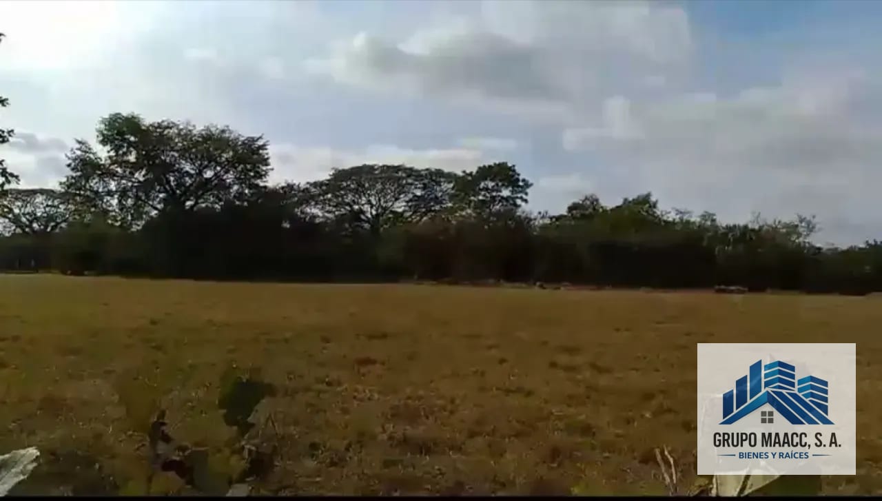 VENTA FINCA MOYUTA JUTIAPA — Finca en Venta en Moyuta, Jutiapa — foto 8 de 10