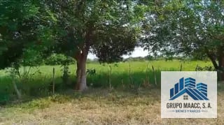 VENTA FINCA MOYUTA JUTIAPA — Finca en Venta en Moyuta, Jutiapa — miniatura 7 de 10