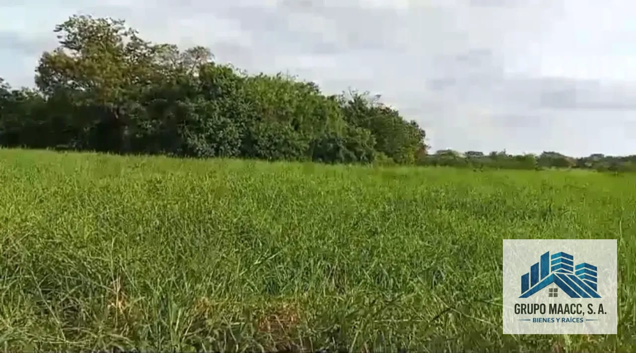 VENTA FINCA MOYUTA JUTIAPA — Finca en Venta en Moyuta, Jutiapa — foto 6 de 10