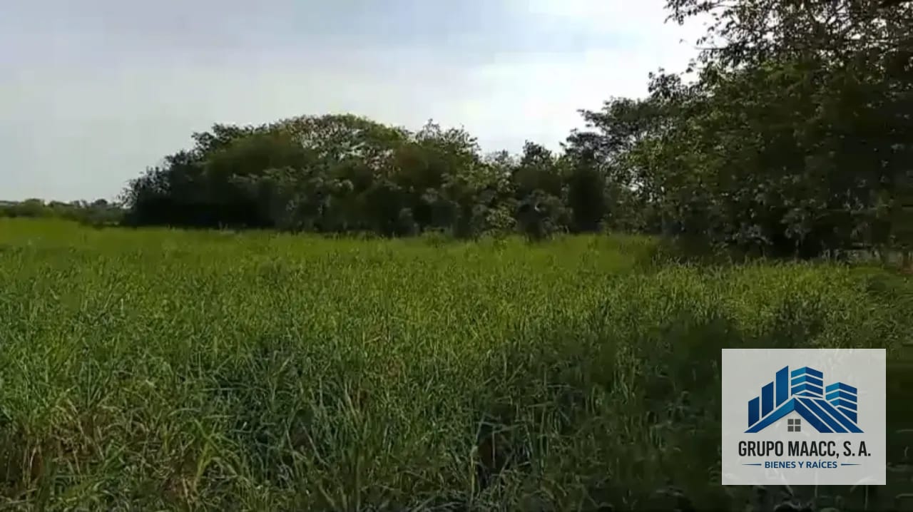 VENTA FINCA MOYUTA JUTIAPA — Finca en Venta en Moyuta, Jutiapa — foto 5 de 10