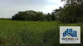 VENTA FINCA MOYUTA JUTIAPA — Finca en Venta en Moyuta, Jutiapa — miniatura 5 de 10