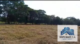 VENTA FINCA MOYUTA JUTIAPA — Finca en Venta en Moyuta, Jutiapa — miniatura 3 de 10