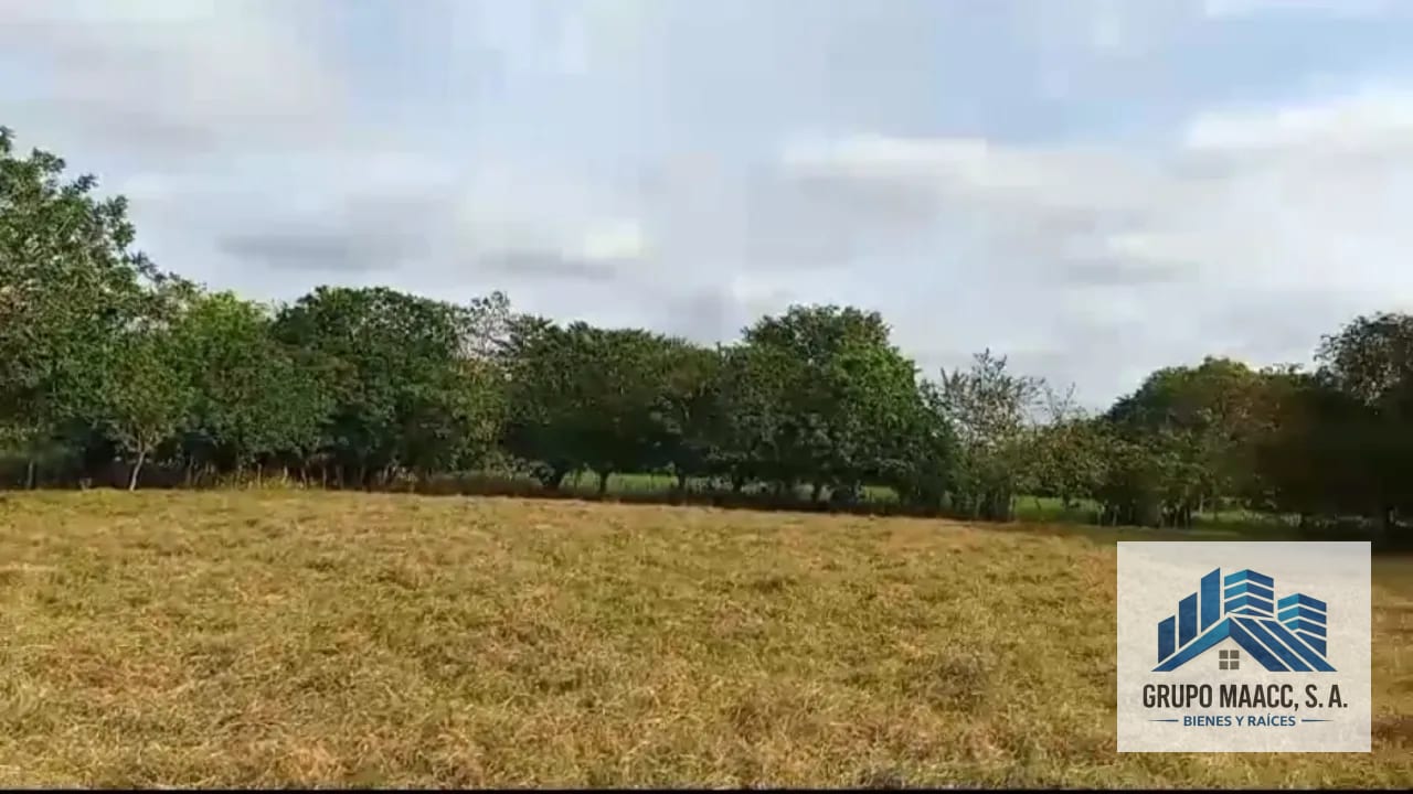 VENTA FINCA MOYUTA JUTIAPA — Finca en Venta en Moyuta, Jutiapa — foto 2 de 10