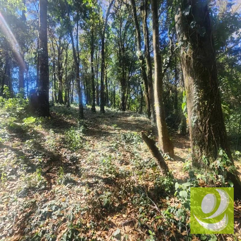 VENDO TERRENO RESIDENCIAL EN BOSQUE VIVO MIXCO — Terreno en Venta en Zona 1 Mixco, Guatemala, Ciudad — foto 2 de 4
