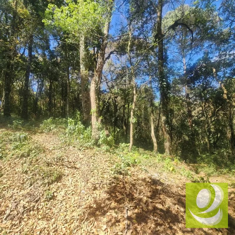 VENDO TERRENO RESIDENCIAL EN BOSQUE VIVO MIXCO — Terreno en Venta en Zona 1 Mixco, Guatemala, Ciudad — foto 3 de 4