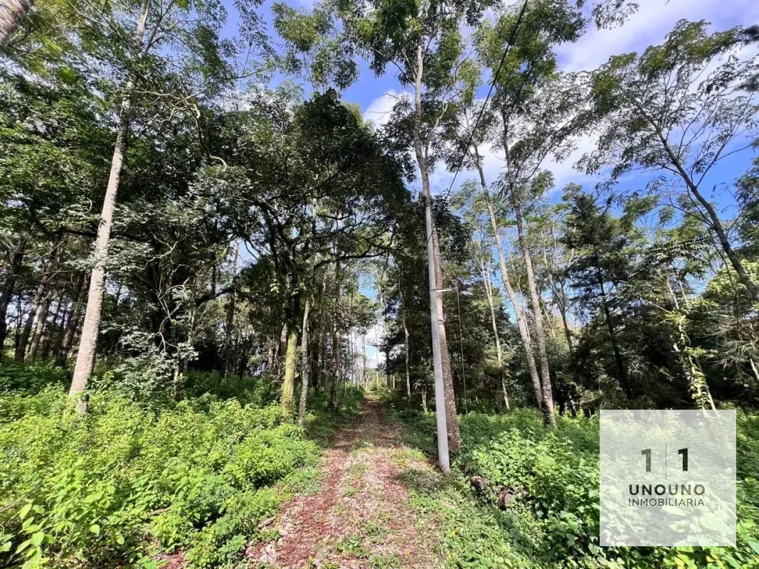 Propiedad en venta en Villa Canales — Terreno en Venta en Villa Canales, Guatemala, Ciudad — foto 5 de 5