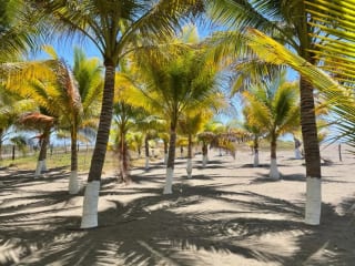 PLAYA EL JIOTE MOYUTA JUTIAPA HERMOSA PROPIEDAD EN VENTA, TERRENO Y RANCHO — Terreno en Venta en Moyuta, Jutiapa — miniatura 6 de 12