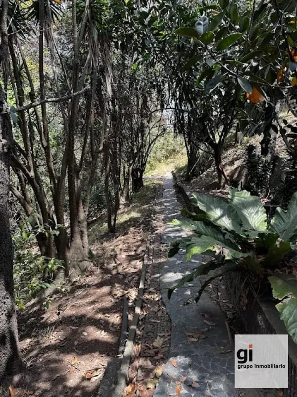 HERMOSA CASA EN COLONIA PRIMAVERA, ZONA 11 — Casa en Venta en La Primavera, Zona 11, Guatemala, Ciudad — foto 3 de 15