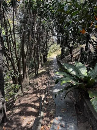 HERMOSA CASA EN COLONIA PRIMAVERA, ZONA 11 — Casa en Venta en La Primavera, Zona 11, Guatemala, Ciudad — miniatura 3 de 15