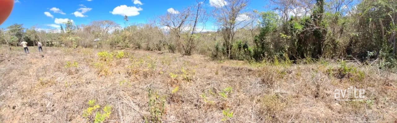 Terreno de 1,510 metros en San Antonio La Paz, El Progreso Q550,000 — Terreno en Venta en San Antonio La Paz, El Progreso — foto 5 de 7