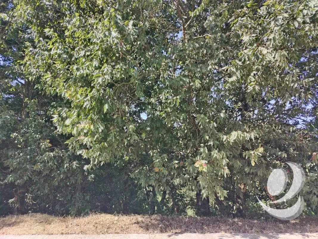 Vendo Terreno Condominio Sausalito, Fraijanes. — Terreno en Venta en Sausalito, Carretera a El Salvador, Guatemala, Ciudad — foto 10 de 16