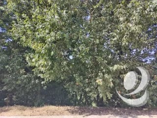 Vendo Terreno Condominio Sausalito, Fraijanes. — Terreno en Venta en Sausalito, Carretera a El Salvador, Guatemala, Ciudad — miniatura 10 de 16