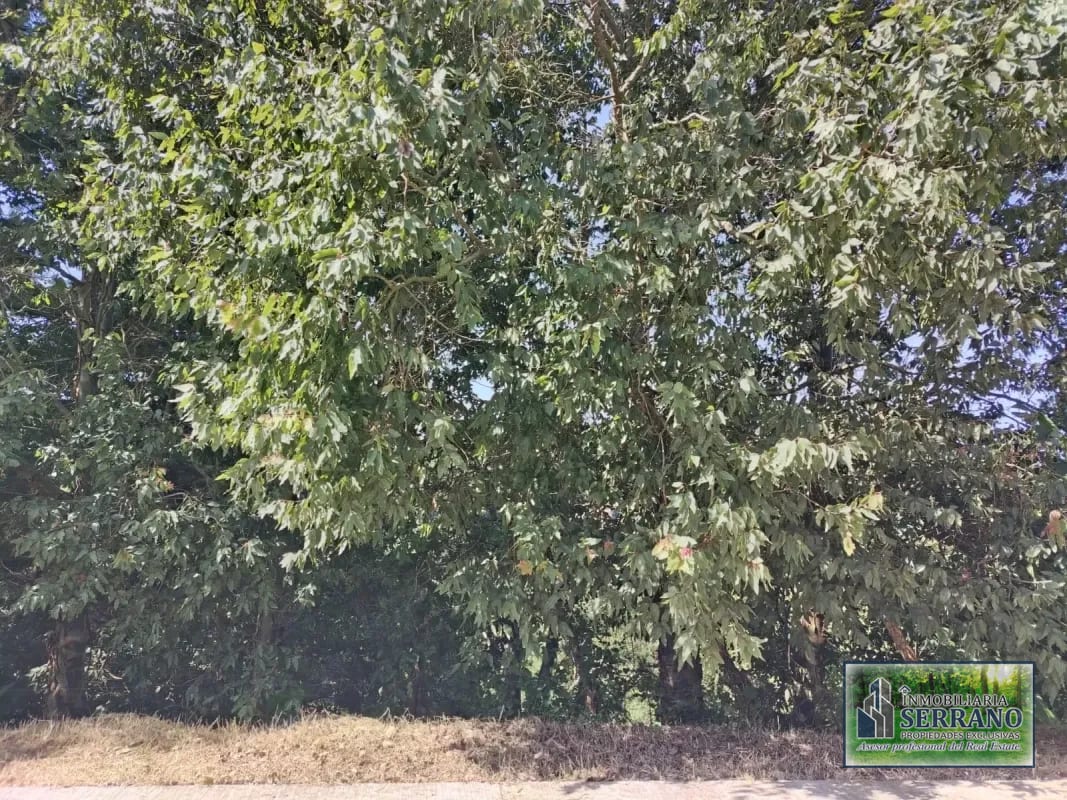 Vendo Terreno Condominio Sausalito, Fraijanes. — Terreno en Venta en Sausalito, Carretera a El Salvador, Guatemala, Ciudad — foto 11 de 17