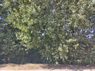 Vendo Terreno Condominio Sausalito, Fraijanes. — Terreno en Venta en Sausalito, Carretera a El Salvador, Guatemala, Ciudad — miniatura 11 de 17