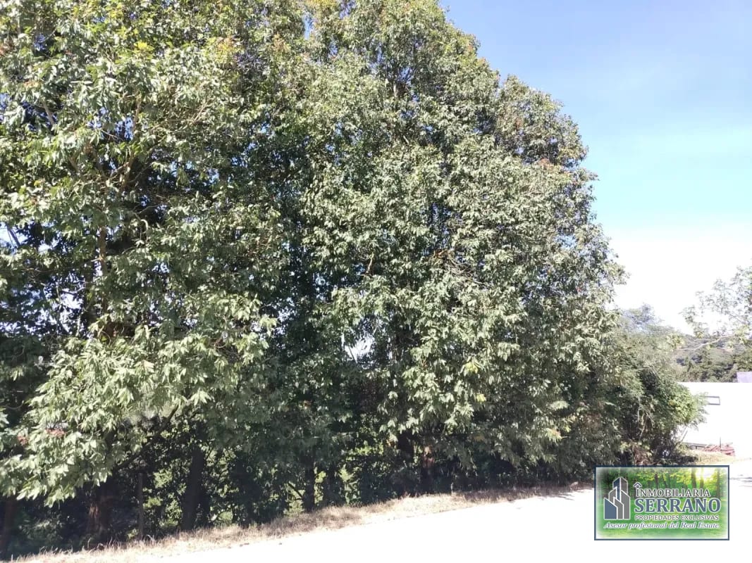 Vendo Terreno Condominio Sausalito, Fraijanes. — Terreno en Venta en Sausalito, Carretera a El Salvador, Guatemala, Ciudad — foto 9 de 17